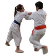 Children’s Martial Arts. What are the Benefits?