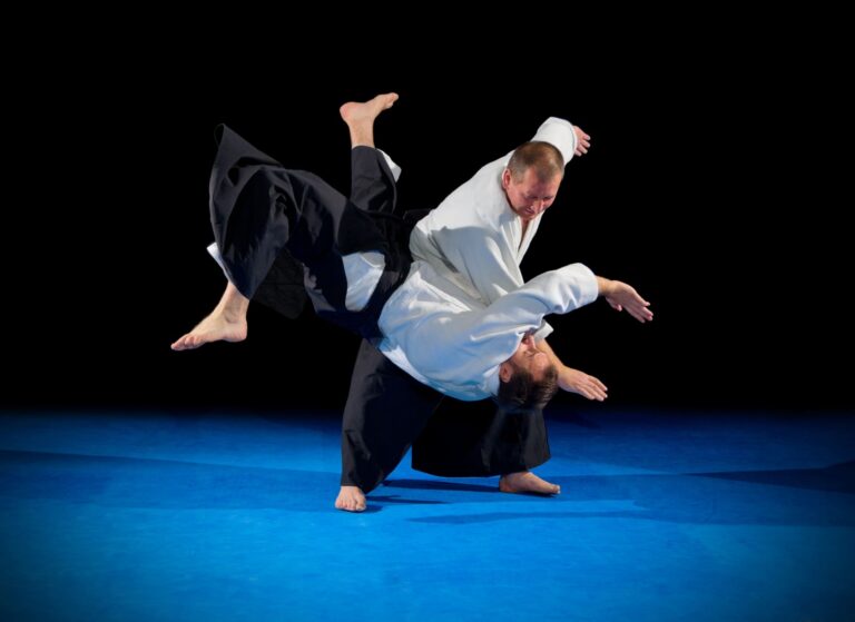 Training in Aikido